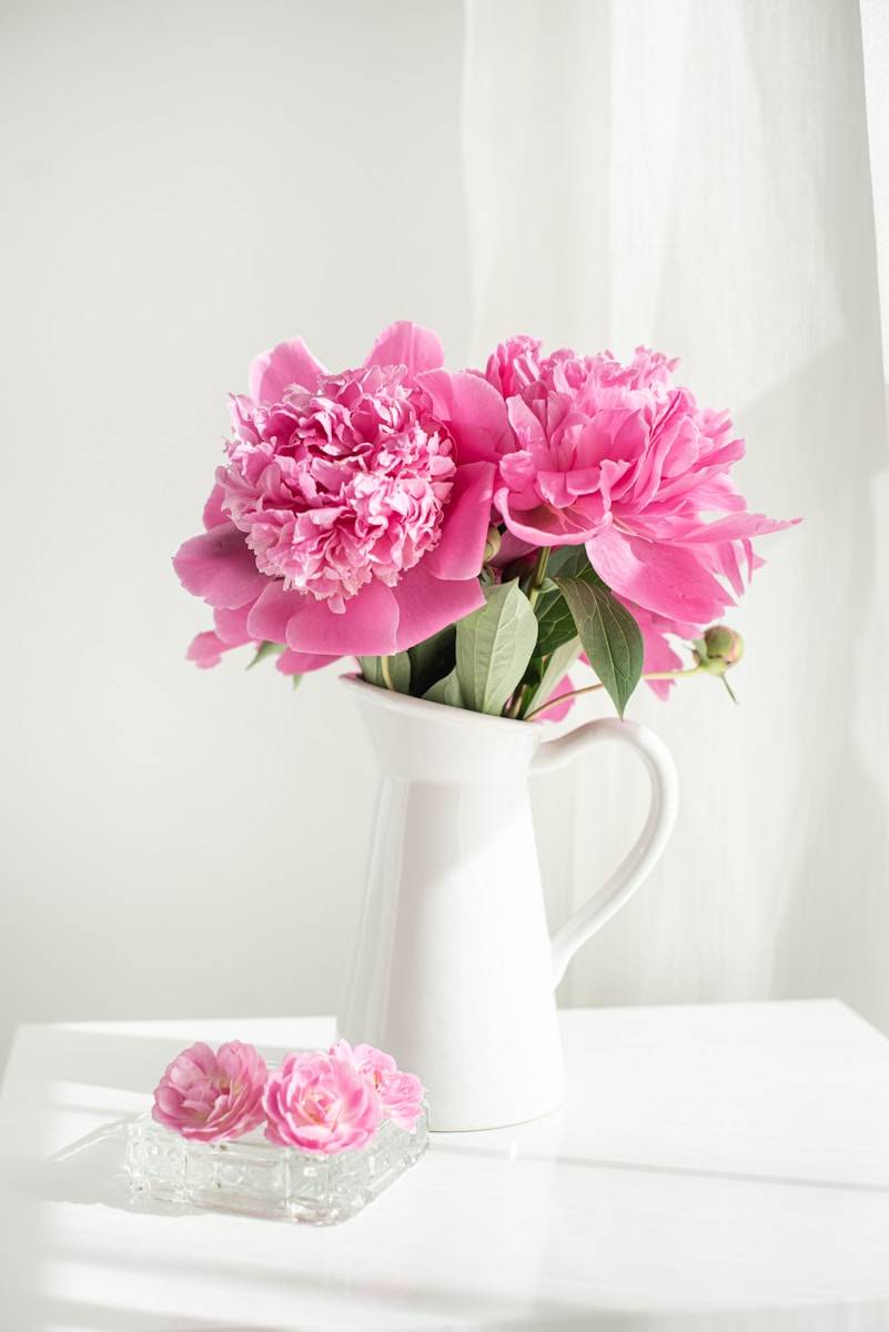 pink and white flowers in white ceramic vase
